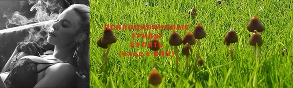 амф Белокуриха